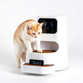 Automatic Cat Feeder